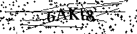 Bitte geben Sie die Buchstaben und Zahlen unten ein