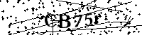 Bitte geben Sie die Buchstaben und Zahlen unten ein