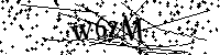 Bitte geben Sie die Buchstaben und Zahlen unten ein
