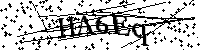 Bitte geben Sie die Buchstaben und Zahlen unten ein