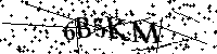 Bitte geben Sie die Buchstaben und Zahlen unten ein
