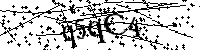 Bitte geben Sie die Buchstaben und Zahlen unten ein