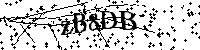 Bitte geben Sie die Buchstaben und Zahlen unten ein
