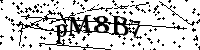 Bitte geben Sie die Buchstaben und Zahlen unten ein