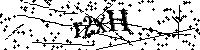 Bitte geben Sie die Buchstaben und Zahlen unten ein