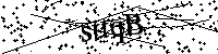 Bitte geben Sie die Buchstaben und Zahlen unten ein