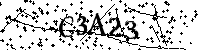 Bitte geben Sie die Buchstaben und Zahlen unten ein