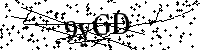 Bitte geben Sie die Buchstaben und Zahlen unten ein