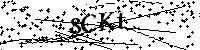 Bitte geben Sie die Buchstaben und Zahlen unten ein