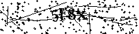 Bitte geben Sie die Buchstaben und Zahlen unten ein