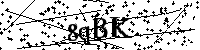 Bitte geben Sie die Buchstaben und Zahlen unten ein
