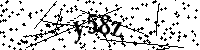 Bitte geben Sie die Buchstaben und Zahlen unten ein