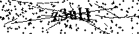 Bitte geben Sie die Buchstaben und Zahlen unten ein