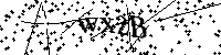 Bitte geben Sie die Buchstaben und Zahlen unten ein