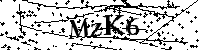 Bitte geben Sie die Buchstaben und Zahlen unten ein