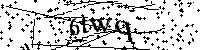 Bitte geben Sie die Buchstaben und Zahlen unten ein