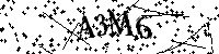 Bitte geben Sie die Buchstaben und Zahlen unten ein