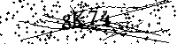 Bitte geben Sie die Buchstaben und Zahlen unten ein