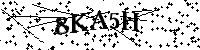 Bitte geben Sie die Buchstaben und Zahlen unten ein