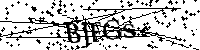 Bitte geben Sie die Buchstaben und Zahlen unten ein
