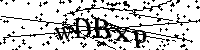 Bitte geben Sie die Buchstaben und Zahlen unten ein