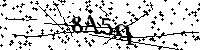 Bitte geben Sie die Buchstaben und Zahlen unten ein