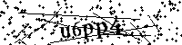Bitte geben Sie die Buchstaben und Zahlen unten ein