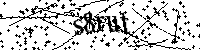 Bitte geben Sie die Buchstaben und Zahlen unten ein