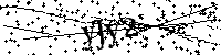 Bitte geben Sie die Buchstaben und Zahlen unten ein