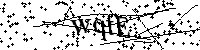 Bitte geben Sie die Buchstaben und Zahlen unten ein