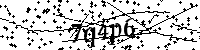Bitte geben Sie die Buchstaben und Zahlen unten ein