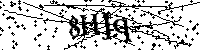 Bitte geben Sie die Buchstaben und Zahlen unten ein