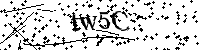 Bitte geben Sie die Buchstaben und Zahlen unten ein