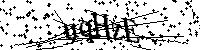 Bitte geben Sie die Buchstaben und Zahlen unten ein