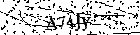 Bitte geben Sie die Buchstaben und Zahlen unten ein
