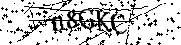 Bitte geben Sie die Buchstaben und Zahlen unten ein