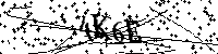 Bitte geben Sie die Buchstaben und Zahlen unten ein