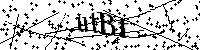 Bitte geben Sie die Buchstaben und Zahlen unten ein