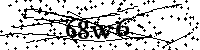 Bitte geben Sie die Buchstaben und Zahlen unten ein