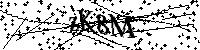 Bitte geben Sie die Buchstaben und Zahlen unten ein