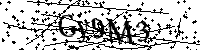 Bitte geben Sie die Buchstaben und Zahlen unten ein