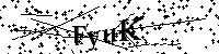 Bitte geben Sie die Buchstaben und Zahlen unten ein