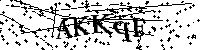 Bitte geben Sie die Buchstaben und Zahlen unten ein