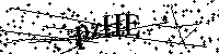 Bitte geben Sie die Buchstaben und Zahlen unten ein
