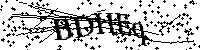 Bitte geben Sie die Buchstaben und Zahlen unten ein