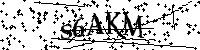 Bitte geben Sie die Buchstaben und Zahlen unten ein