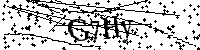 Bitte geben Sie die Buchstaben und Zahlen unten ein