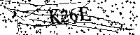 Bitte geben Sie die Buchstaben und Zahlen unten ein