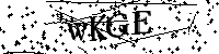 Bitte geben Sie die Buchstaben und Zahlen unten ein