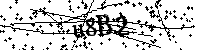 Bitte geben Sie die Buchstaben und Zahlen unten ein